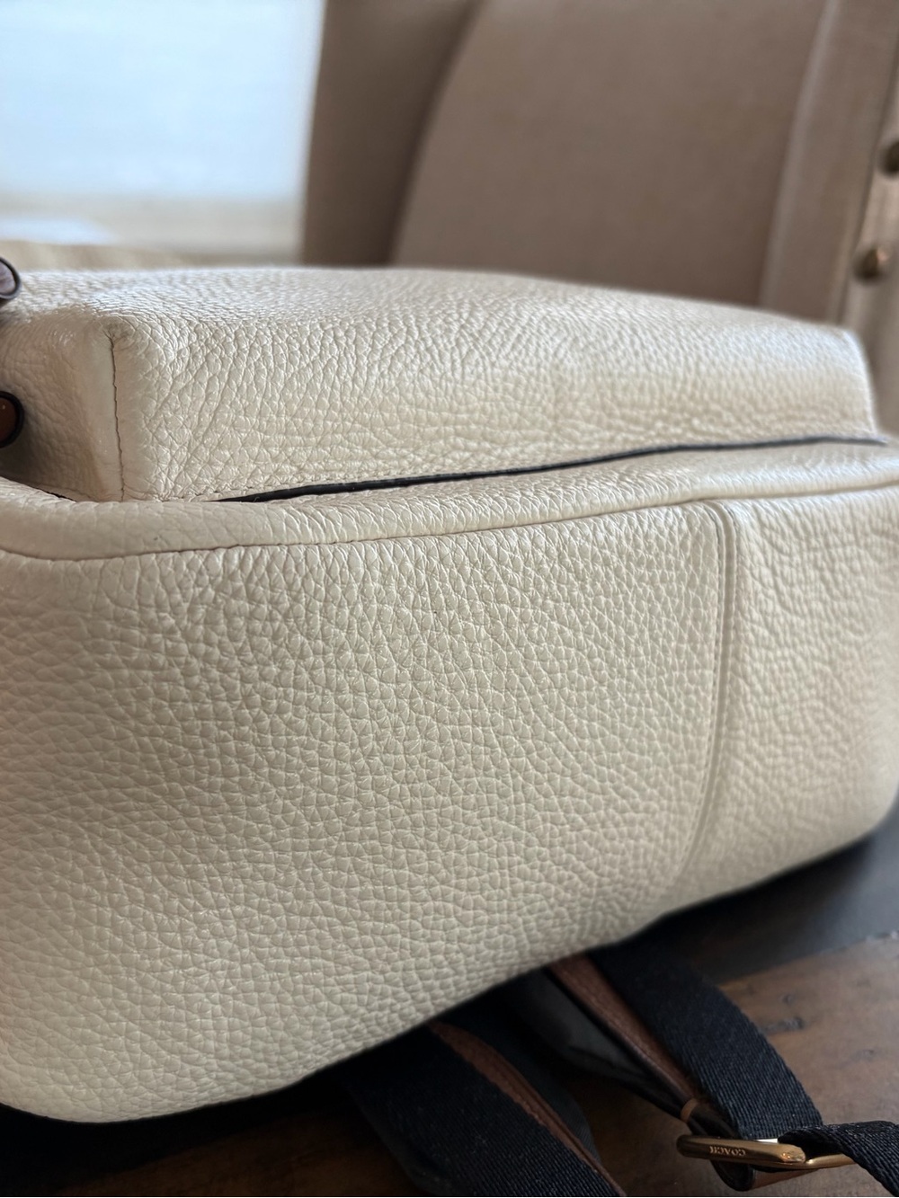 Coach Pride Collection Medium Charlie Backpack - Picture 5 of 7